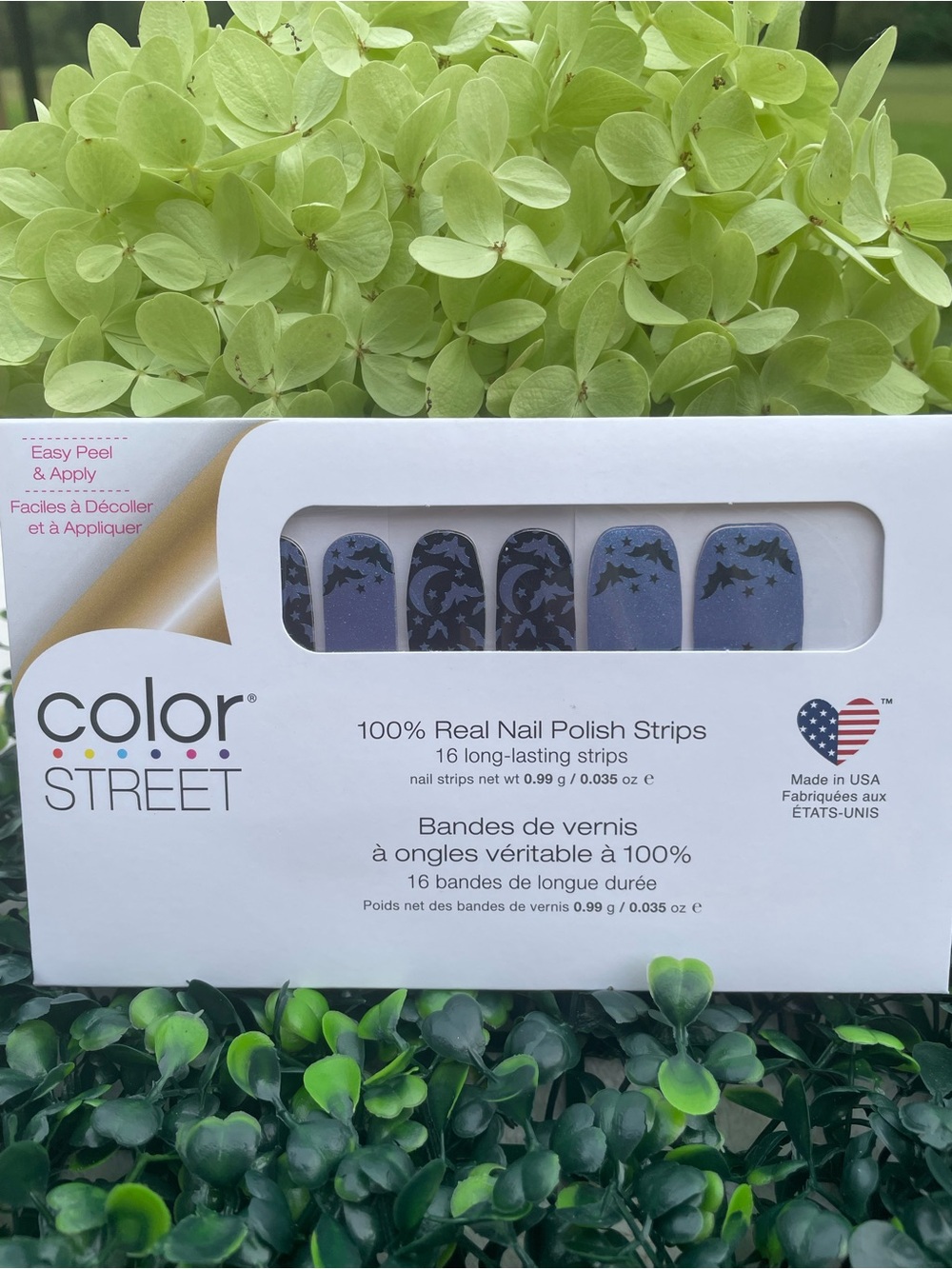 Color Street Retired Bat’s Amore Nail Polish Strips Halloween Print
